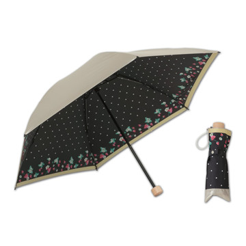parasol03